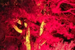 IMG_20221213_185657