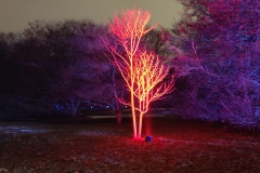 IMG_20221213_190448